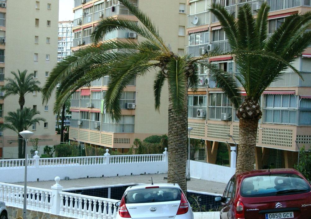 Don Miguel 1 - Arca Rent Leilighet Benidorm Eksteriør bilde